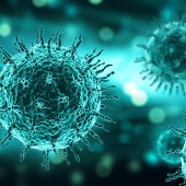 Анализ на выявление рнк вирусов грипп а (influenza a) и грипп в (influenza b)