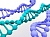 Анализ на выявление, дифференциация днк shigella spp., e. coli, salmonella spp., campylobacter spp.